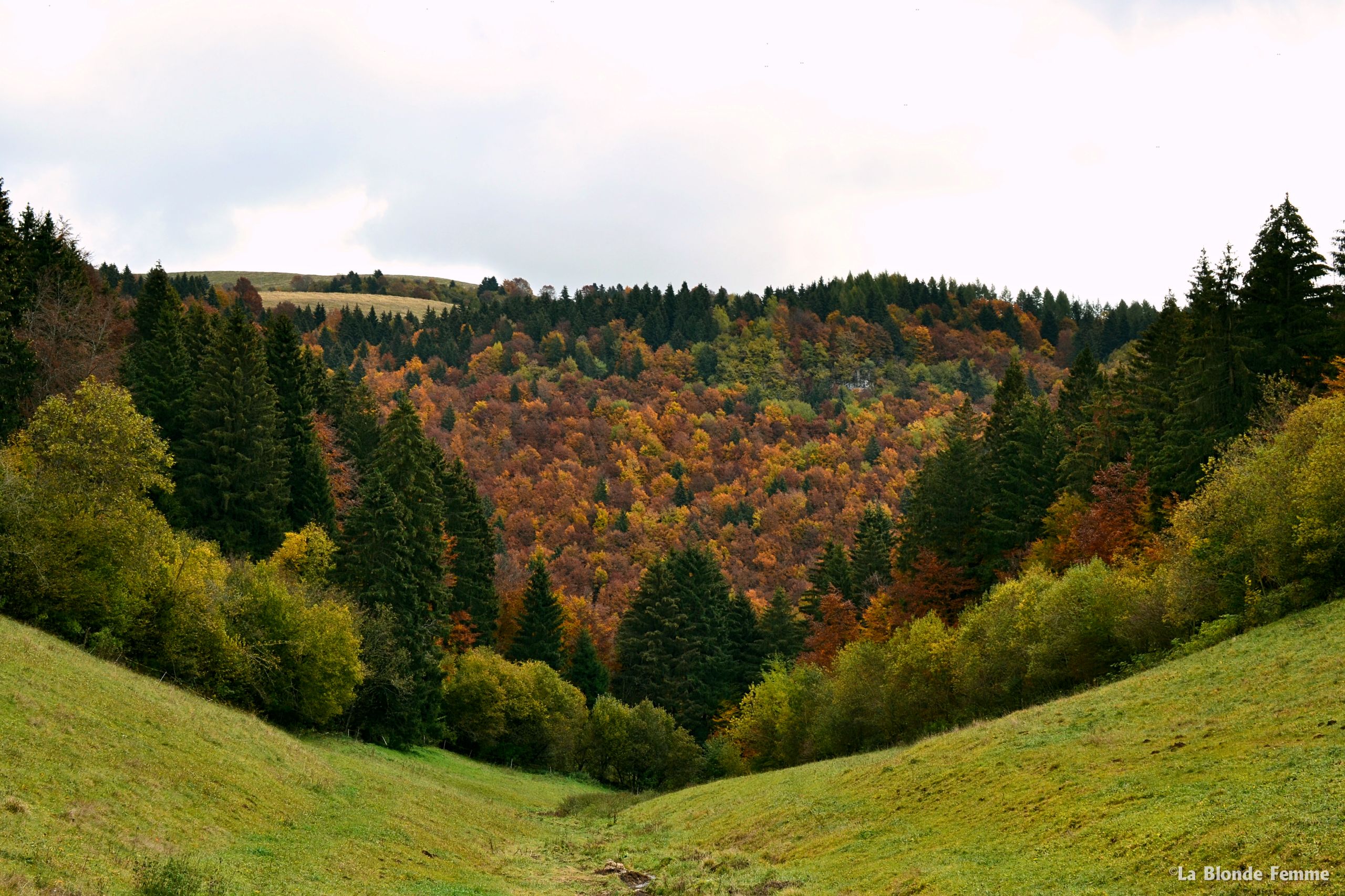 foliage autunnale in Lessinia